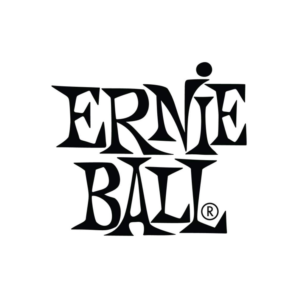 Ernie Ball 1697 100 Roundwound Bass String (Single)