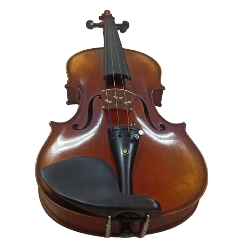 Fernando VP-100G4/4 Violin 4/4 with Case and Bow