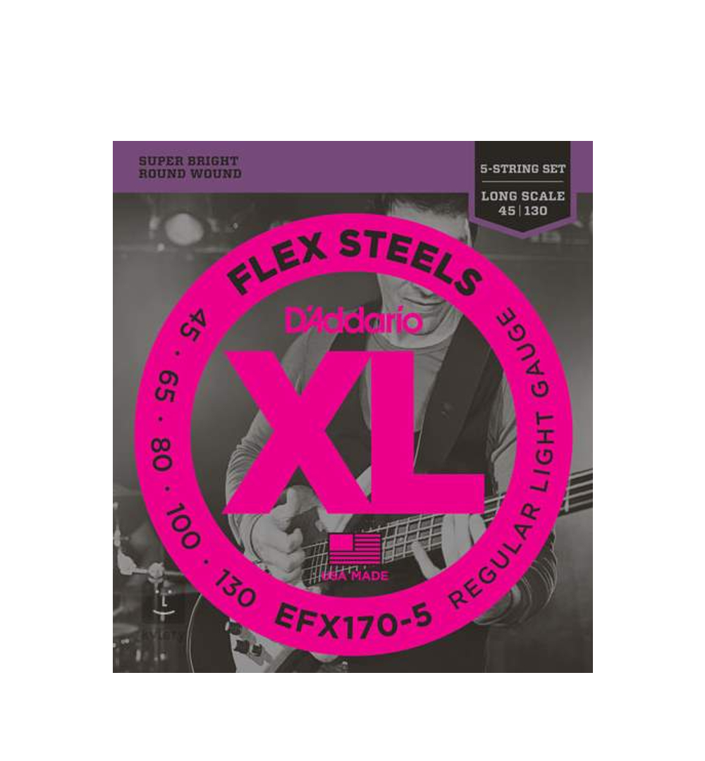 D'Addario EFX170-5 Flexsteel Bass Guitar String