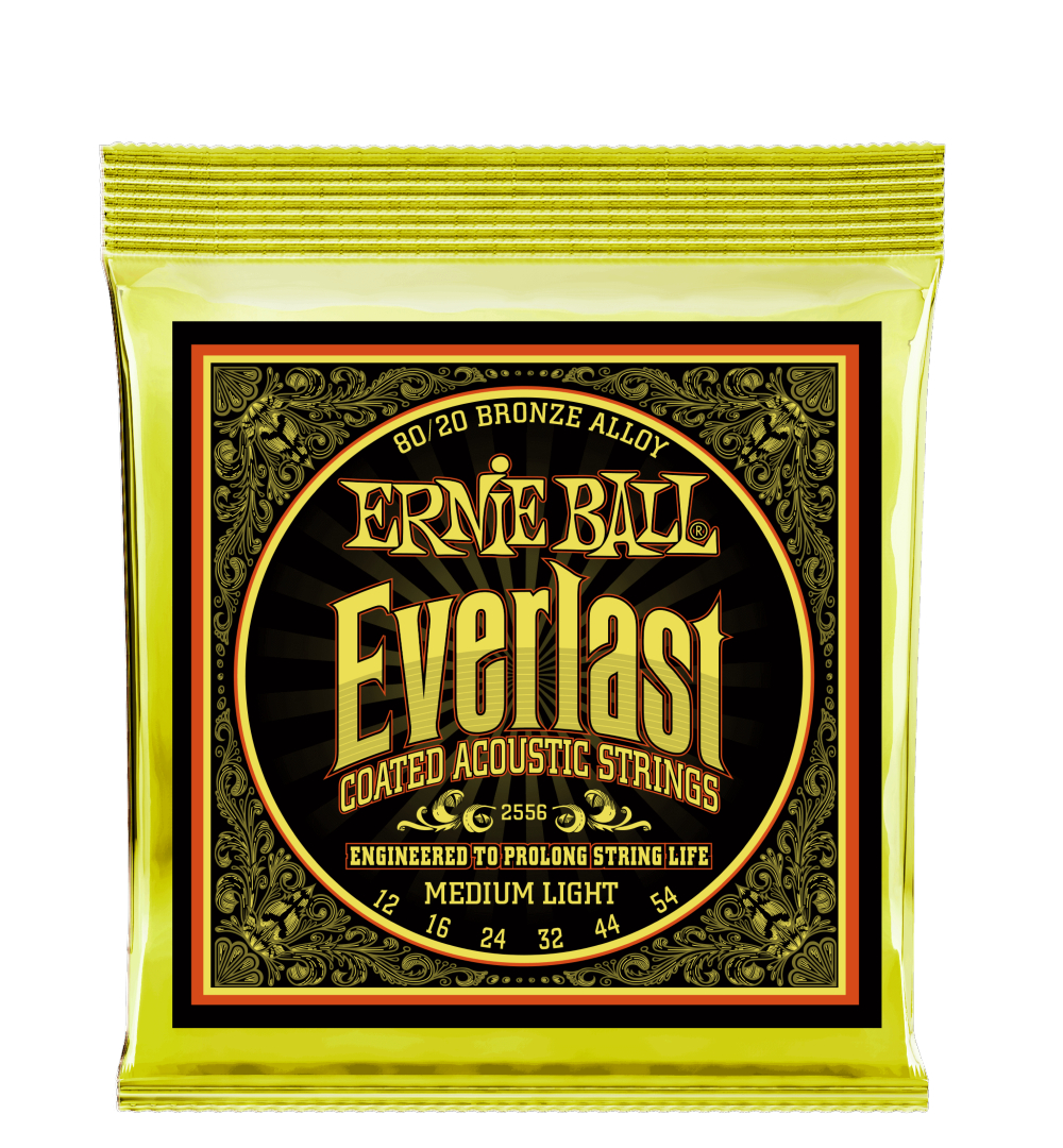 Ernie Ball Everlast 80/20 Bronze Medium Light Acoustic Guitar Strings 12-54 2556