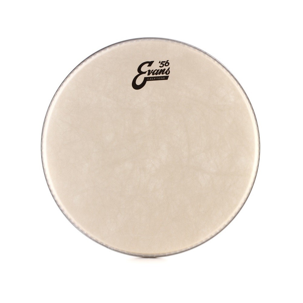 Evans Calftone 13 inch Drum Head (TT13C7)