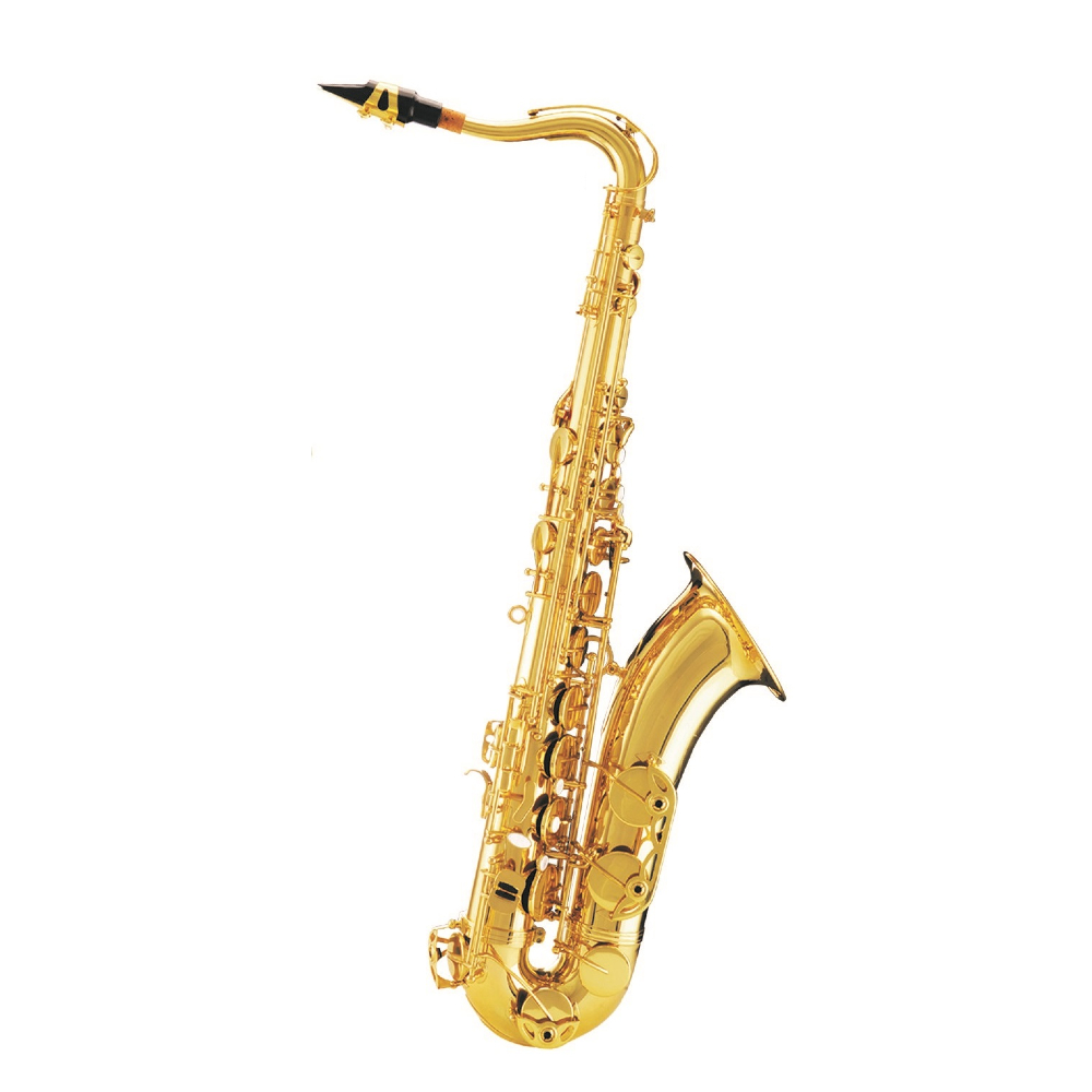 Fernando JBTS-100 Tenor Saxophone