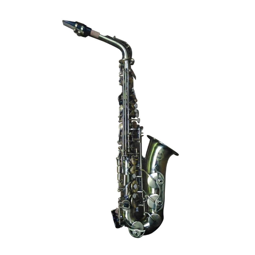 Fernando AL-107B Alto Saxophone