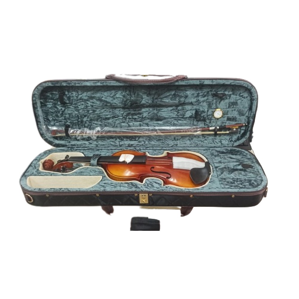 Fernando VP-100G4/4 Violin 4/4 with Case and Bow