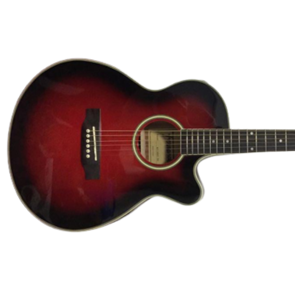 Fernando MJG-100CE Steel Guitar with Pickup and G-Tone Tuner (Red Sunburst)