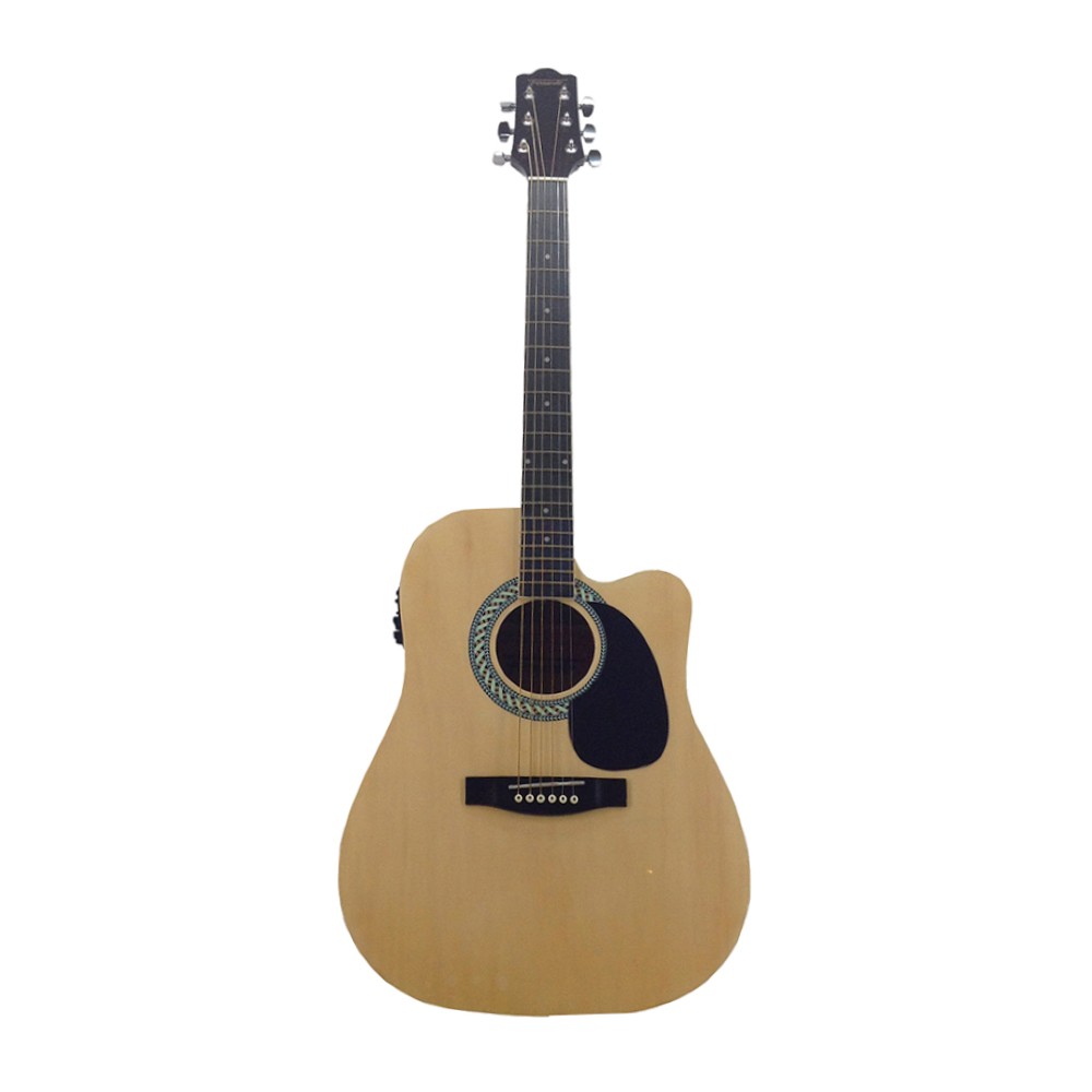 Fernando DG-100CE Steel-String Guitar with Pickup (Natural)