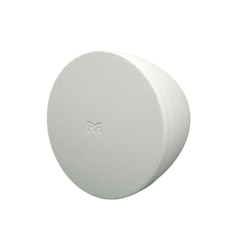 Martin Audio ACP-55T Compact Two Way Pendant Loudspeaker (White)