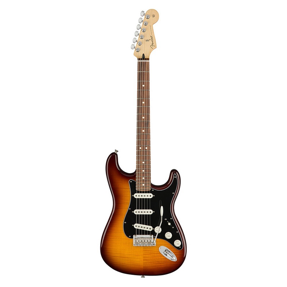 Fender Player Stratocaster Plus Top