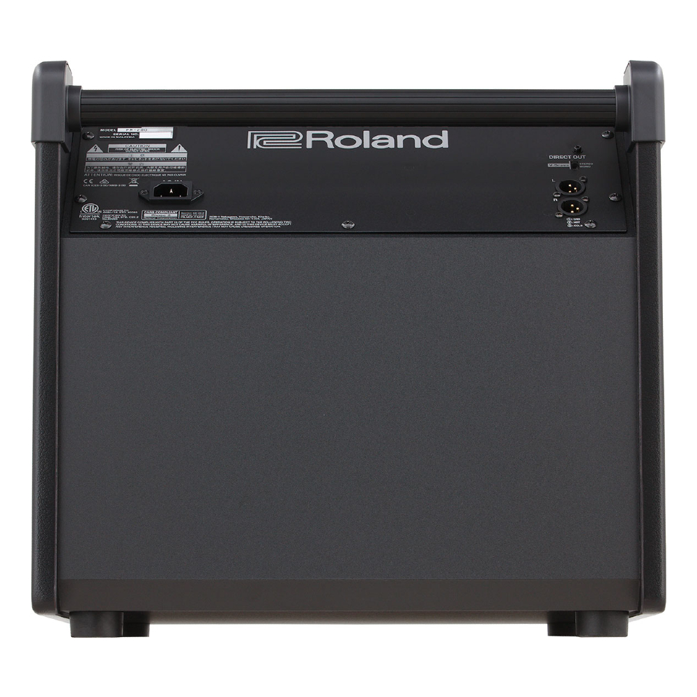 Roland PM-200 180-Watts Compact Electronic V-Drum Set Monitor Speaker