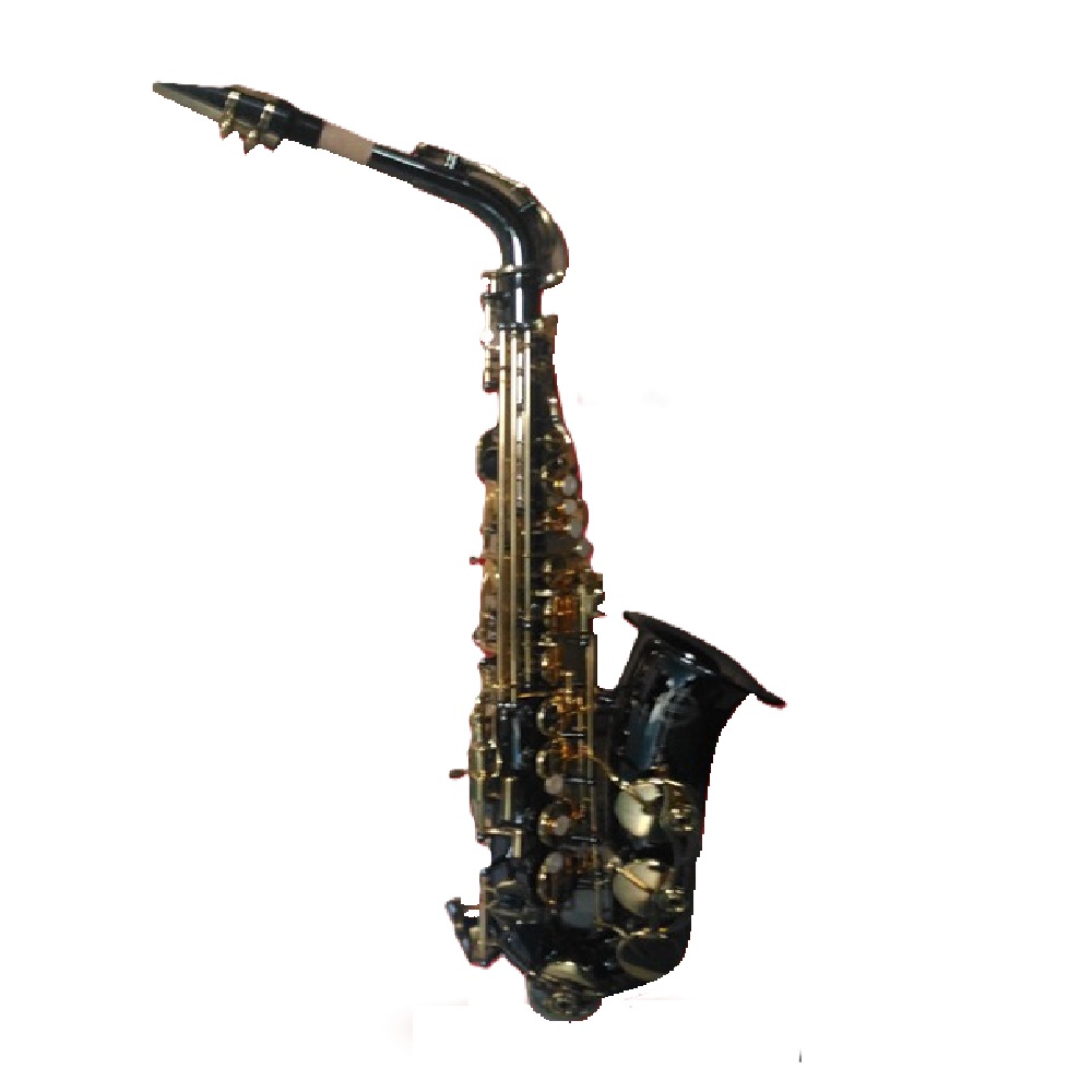 Fernando AL-104C Alto Sax (Black)