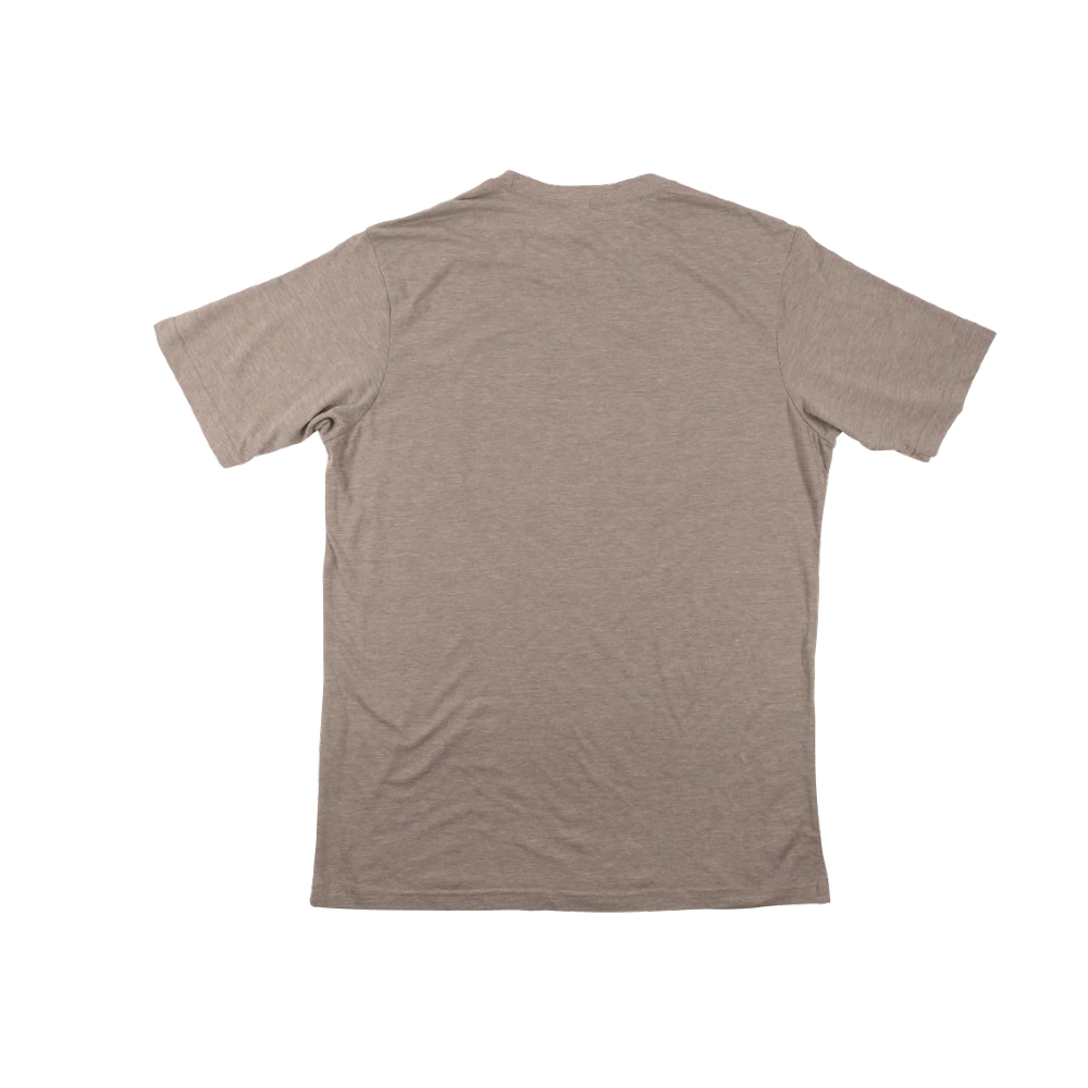 Ernie Ball 4872 CA Bear Flag T-Shirt (Medium)