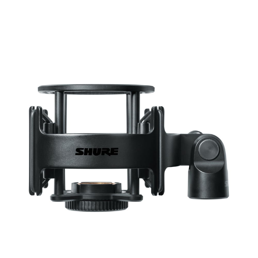 Shure SM4 Dual-diaphragm Condenser Home Recording Microphone Kit