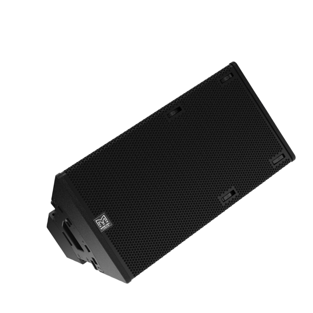 Martin Audio TORUS T1230 12-Inch Passive 30-Degree Fixed Angle Constant Curvature Array Loudspeaker
