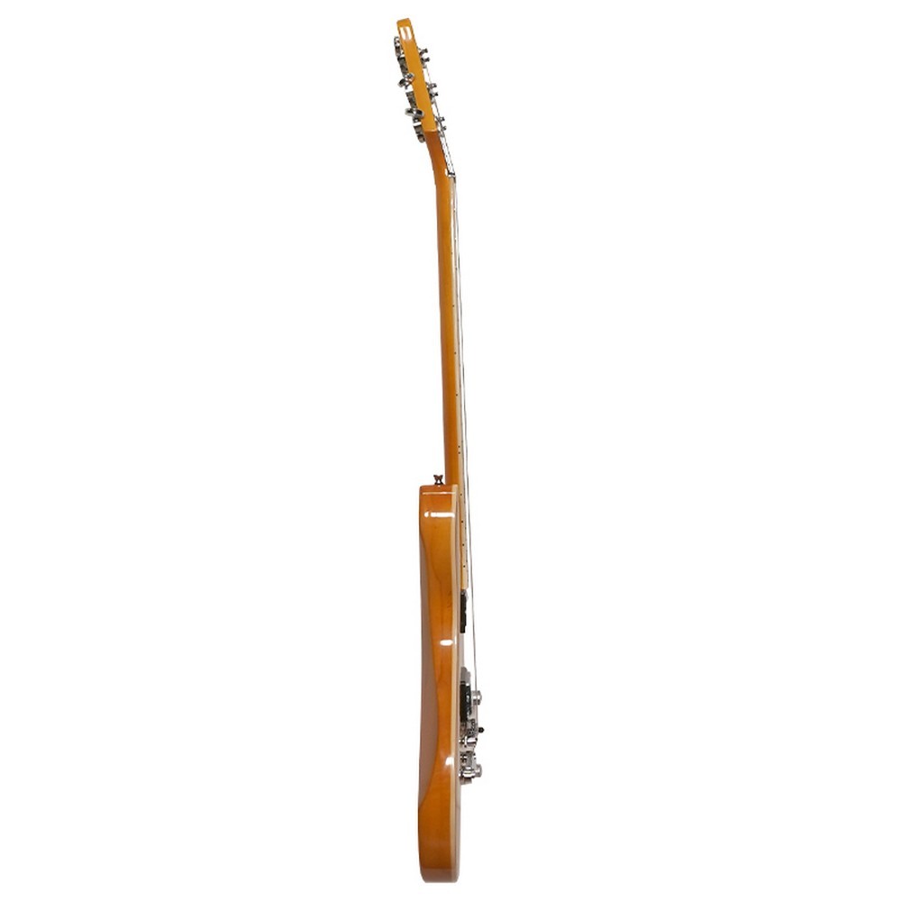 Fernando CSNF-HH Electric Guitar (Natural)