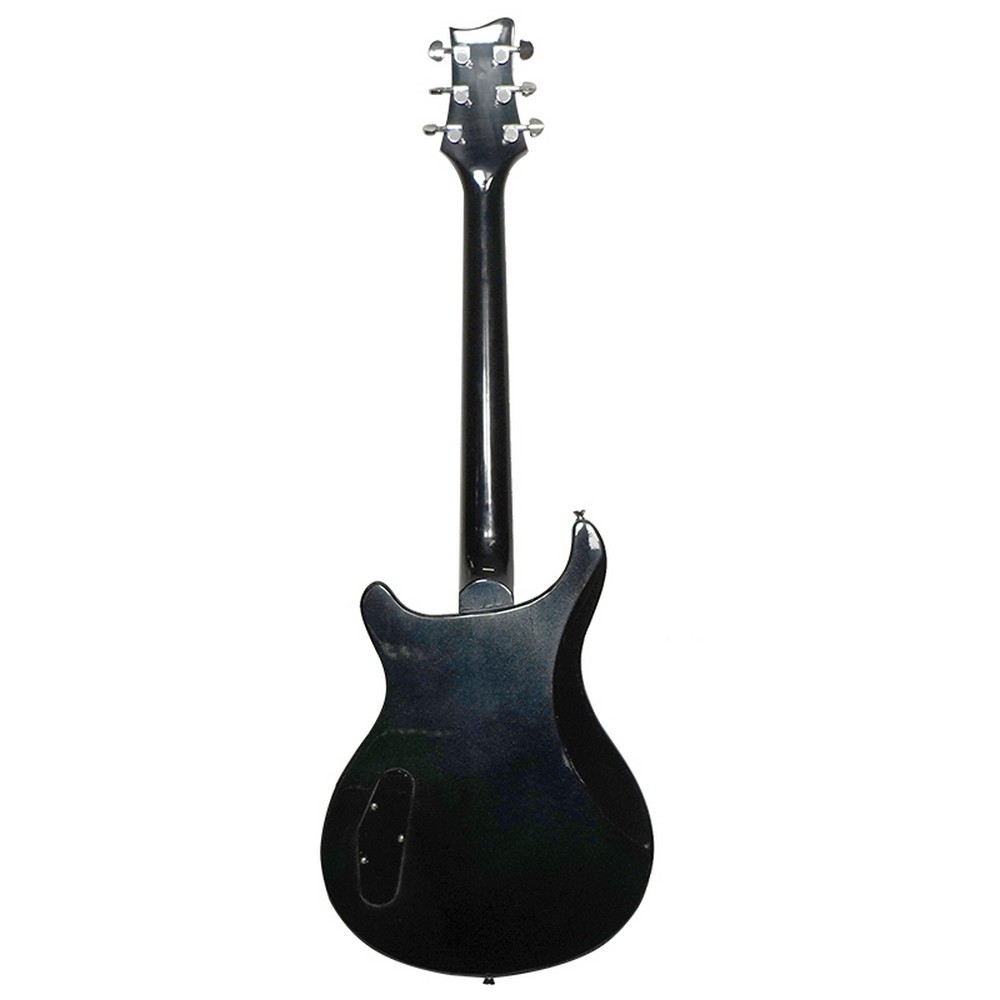 Fernando CSN-HH Electric Guitar (Black)