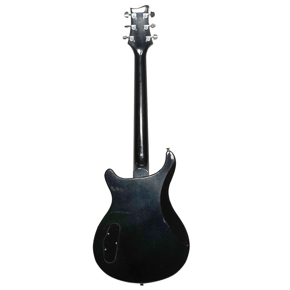 Fernando CSN-HH Electric Guitar (Black)