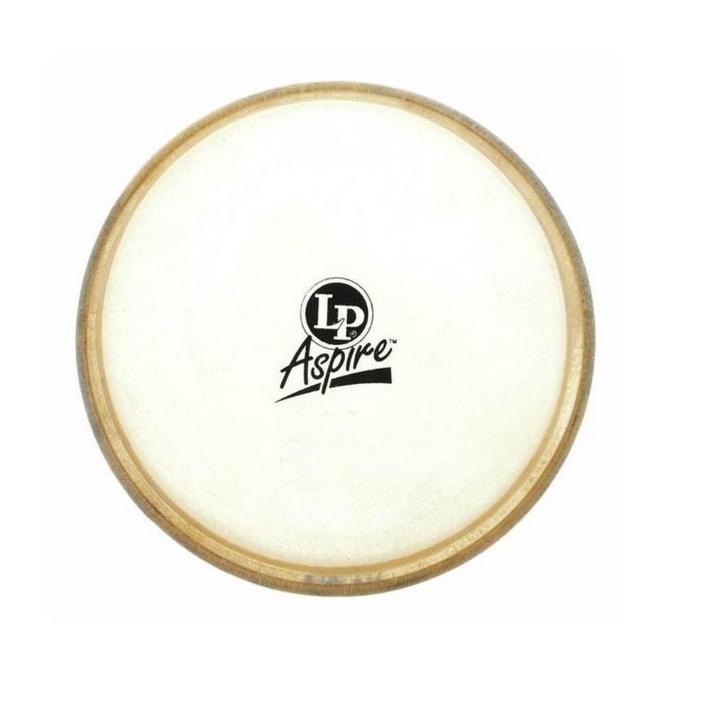 Latin Percussion (LP) Aspire 6.75 inch Bongo Head (LPA663A)