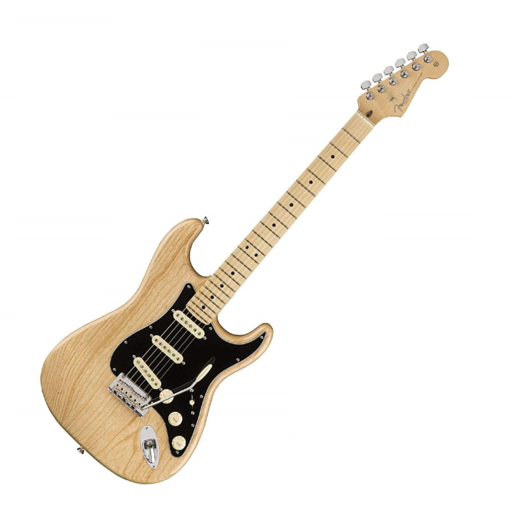 Fender American Professional Stratocaster 6-String (113012721)