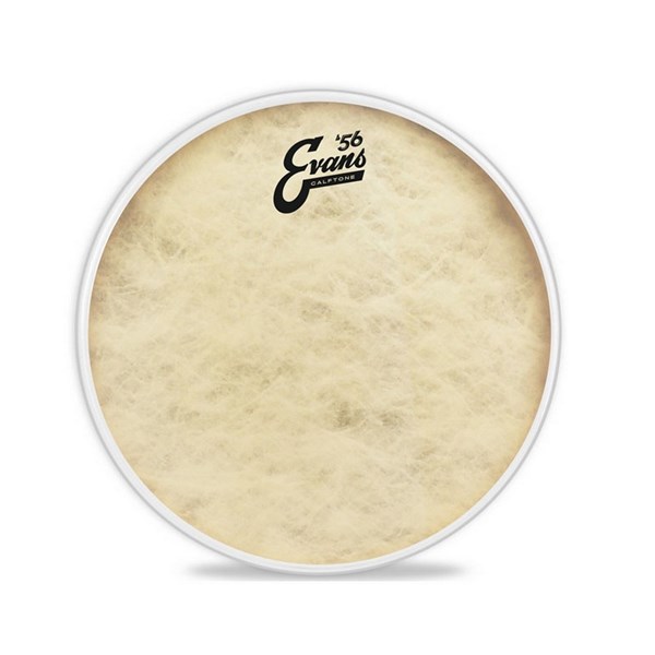 Evans Calftone 12 inch Tom Batter Drum Head (TT12C7)