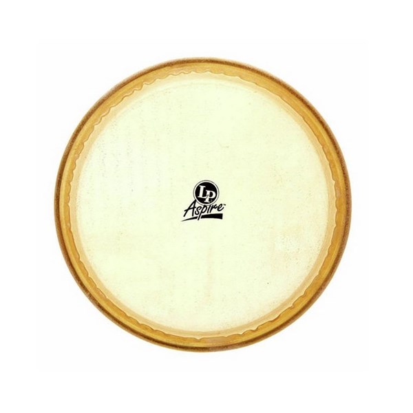 Latin Percussion (LP) Aspire 11 inch Rawhide Conga Head (LPA640B)