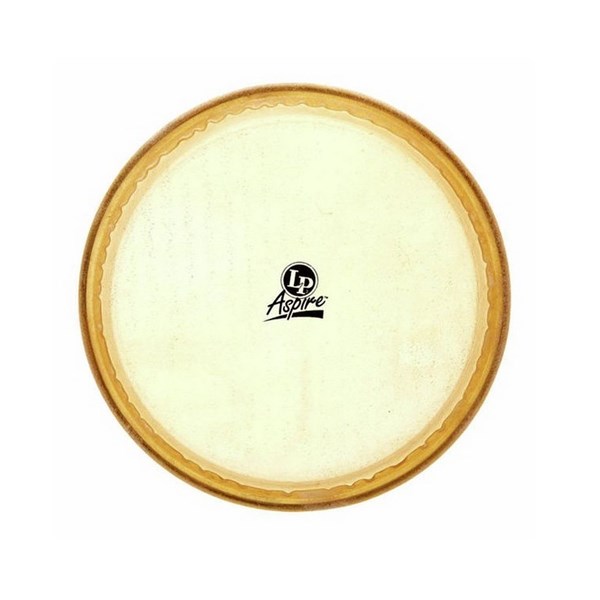 Latin Percussion (LP) Aspire 11 inch Rawhide Conga Head (LPA640B)