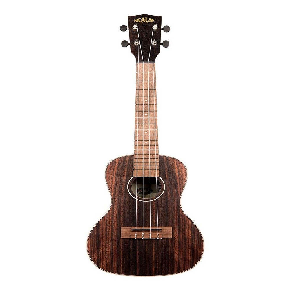 Kala KA-EBY-C Ebony Concert w/ Bag