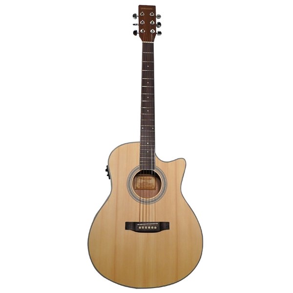 Fernando Acoustic-TF-Matte Acoustic Guitar w/ Fishman Pickup