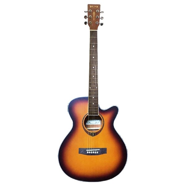 Fernando AG-40CEQ Acoustic Guitar (Sunburst)