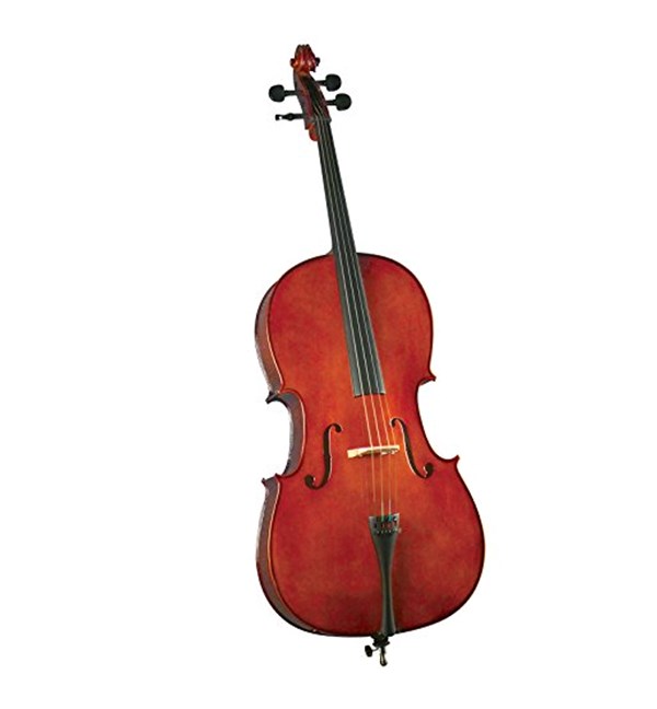 Cervini HC-100 Novice Cello Outfit - 4/4