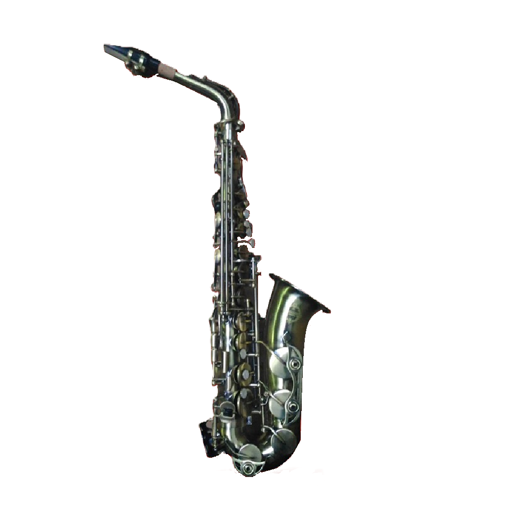 Fernando AL-107B Alto Saxophone (Dark Bronze)