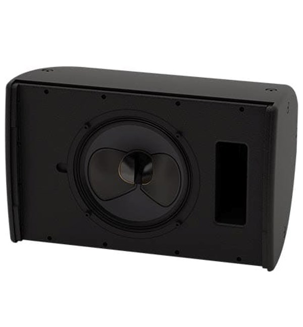 Martin Audio CDD10B 2-Way Passive Loudspeaker (Black)