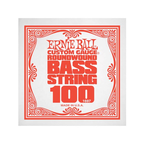 Ernie Ball 1697 100 Roundwound Bass String (Single)