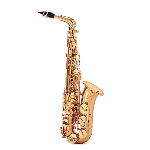C.G. Conn by Conn Selmer AS651DIR Student Alto Saxophone